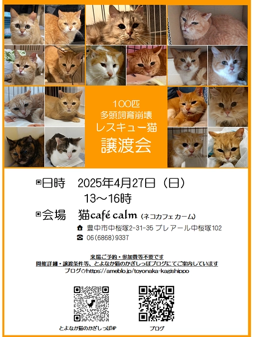 本日は譲渡会です