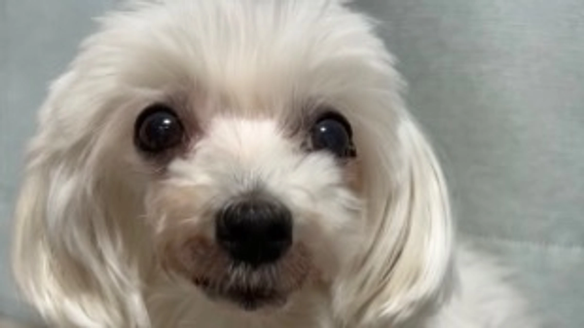 術後７日目から８日目