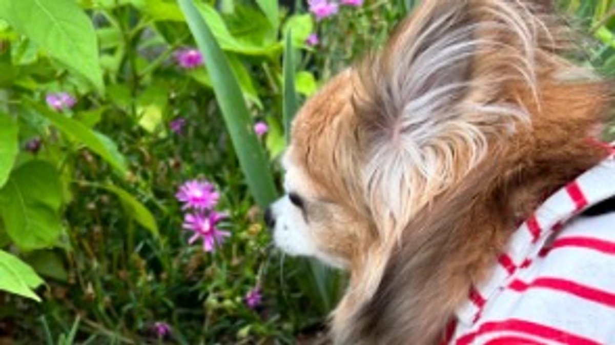 2年検診に行ってきました。