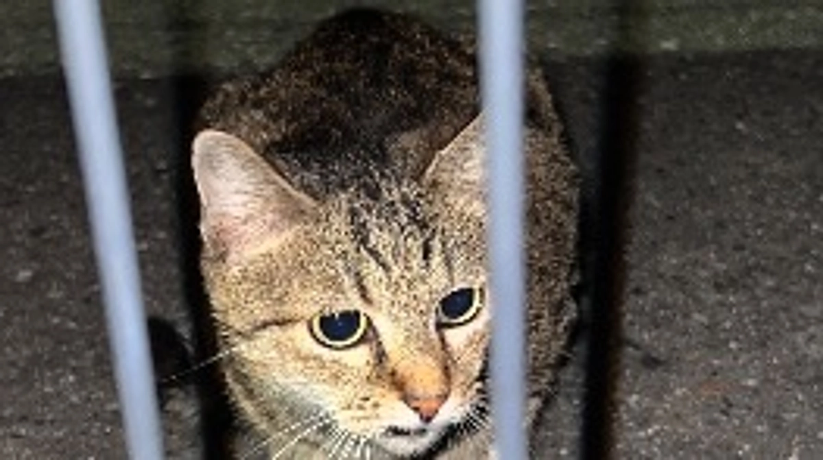 支援者の皆様へ