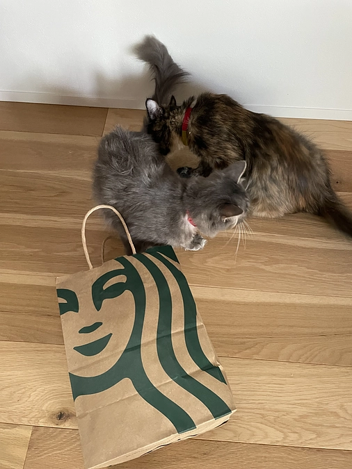 経過観察期間になって