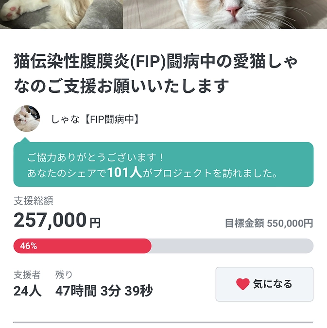 夜分の更新失礼します。