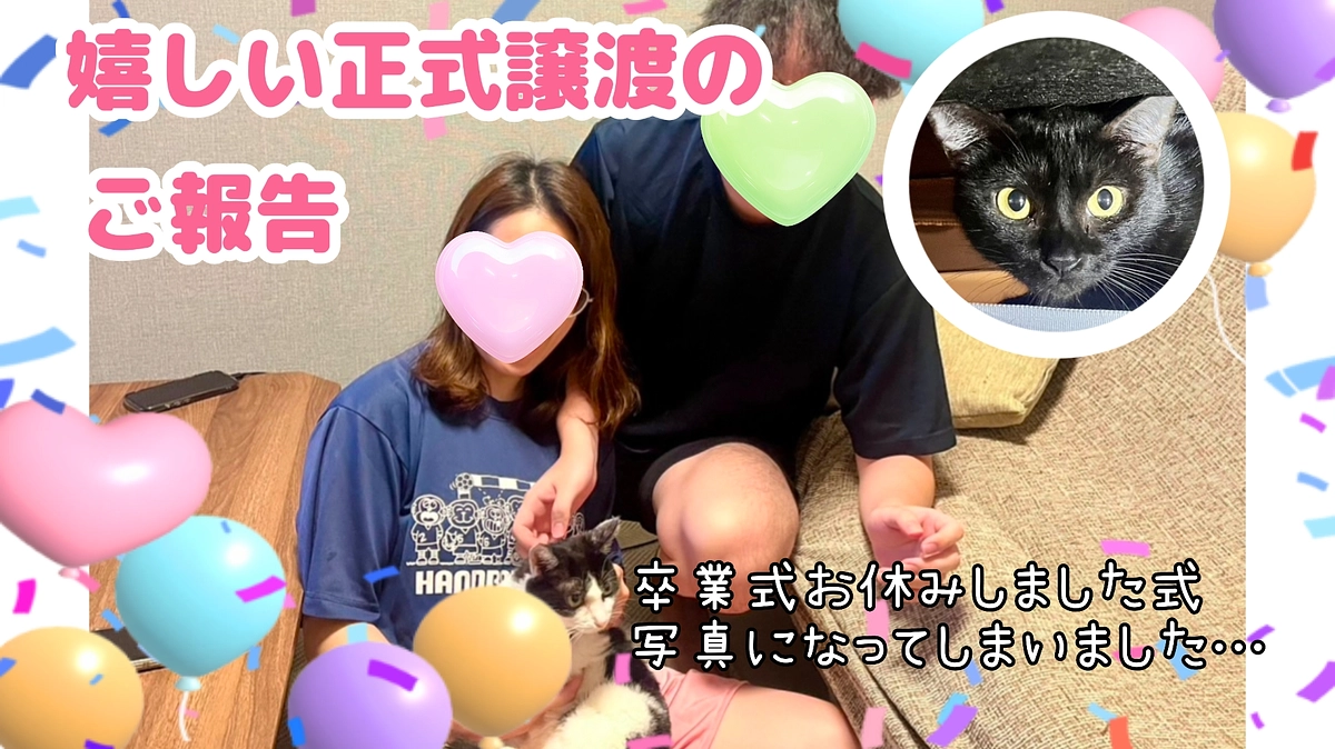 多頭飼育崩壊レスキュー組正式譲渡