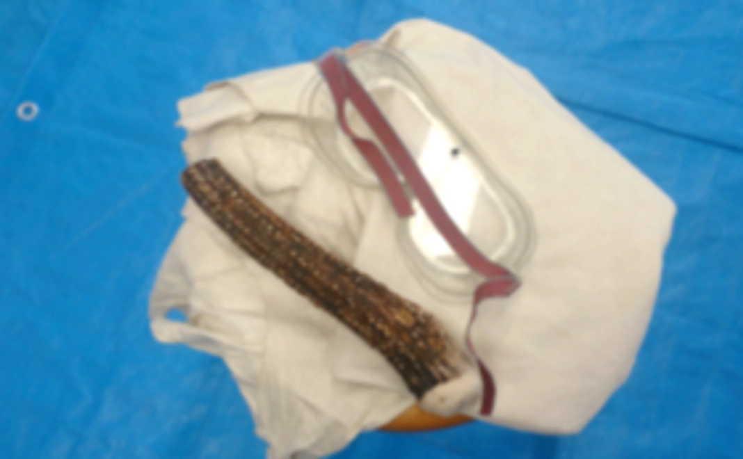 子どもたちの作品1点