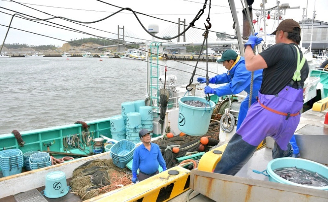 SOMA BLUE 卒業祝いプロジェクト：漁師が選ぶ干物セット