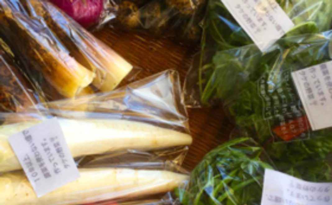 美味しい無農薬の野菜セットをお届けします（2ヶ月分）