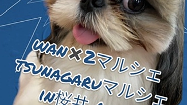 桜井市活性化つながるwan×2マルシェにドックランを設置したい！ のトップ画像