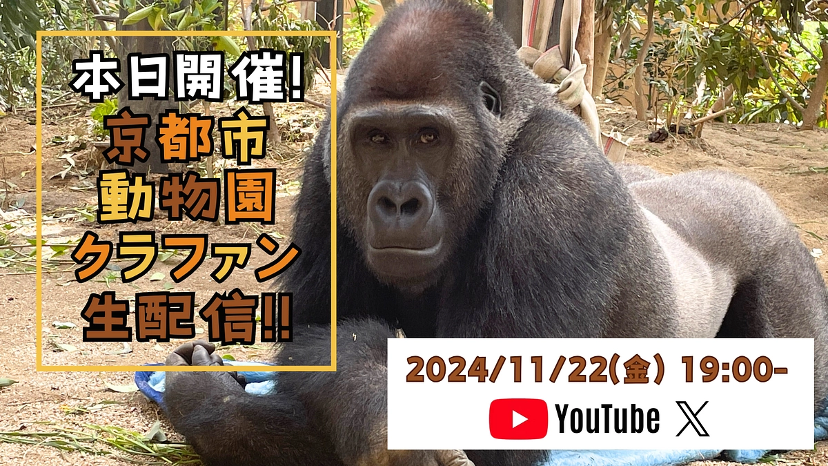 本日19時から生配信！「改めまして、京都市動物園です！〜サルたちを“もっと”知ってもらうために〜」