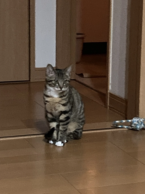 本日、目標金額を達成することができました