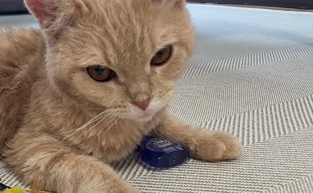 感謝のメール【14】