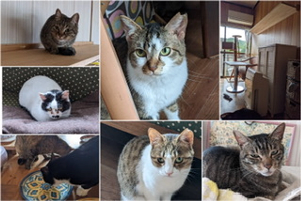 応援メッセージ⑤