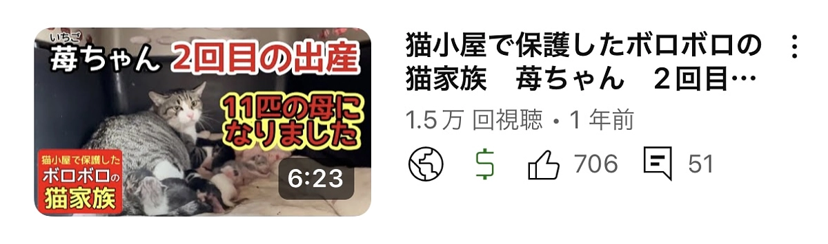 新しい生命の誕生に祝福!!