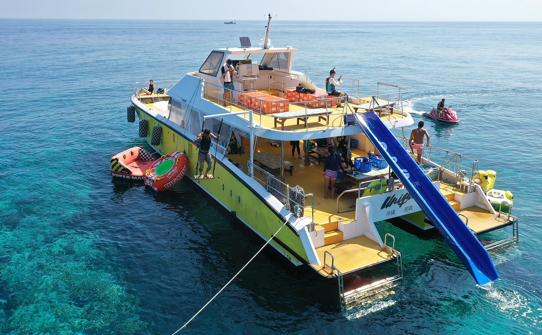 【返礼不要】OPG応援コース