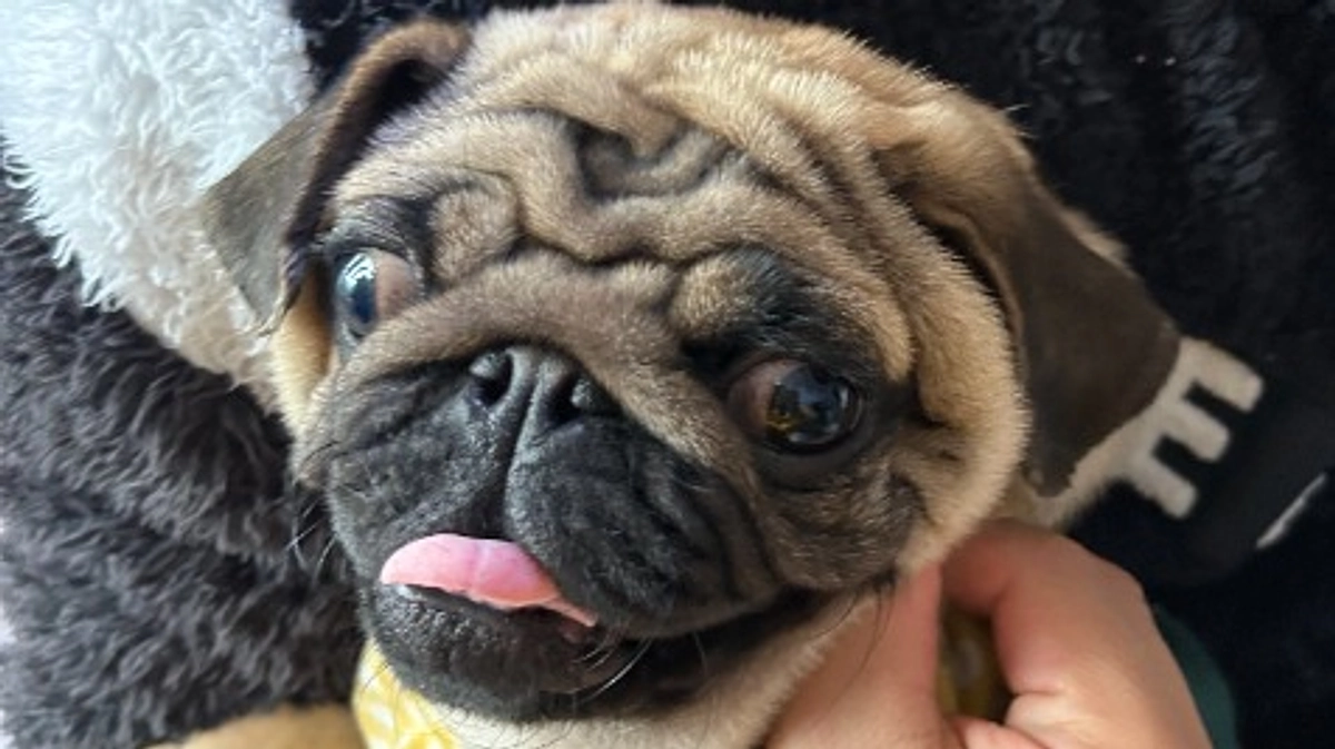 12月6日　術後初めての嘔吐