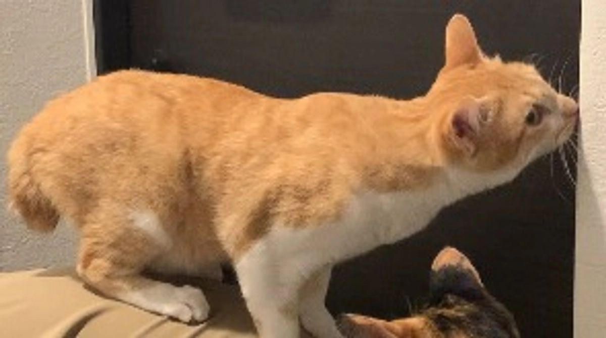 経過観察16日目（5/27）