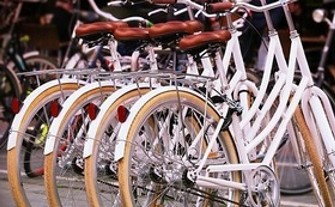 自転車、ペットあわせて4台（4匹）分までの1年分補償および寄付先推薦権（9団体まで）