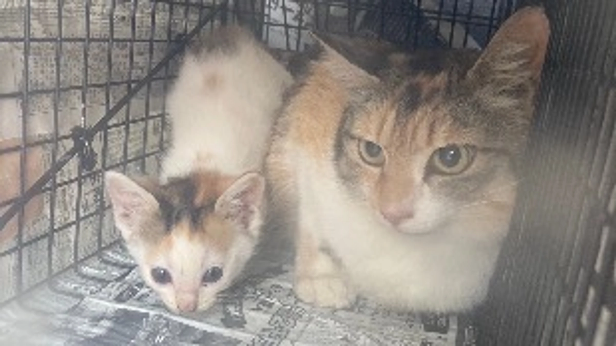 たくさんのご支援ありがとうございました‼︎