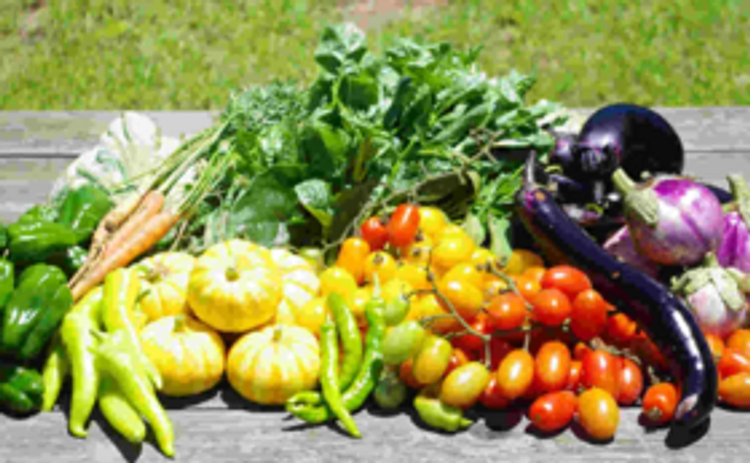 ▼有機JAS・カレー野菜セット＋スパイス【４~５食分】▼