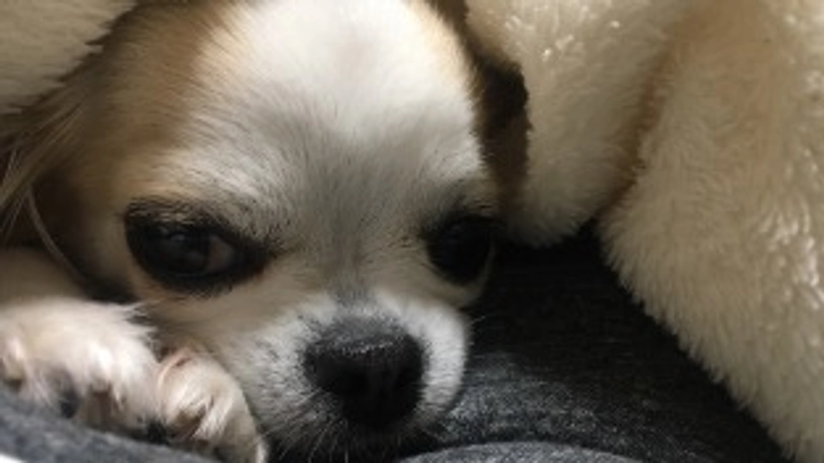 インスタライブのお知らせ