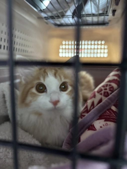 2月6日最終投与…血液検査病院🏥へ♡検査結果を見て🆗くださり、安定しています。予定通り投薬終了♡