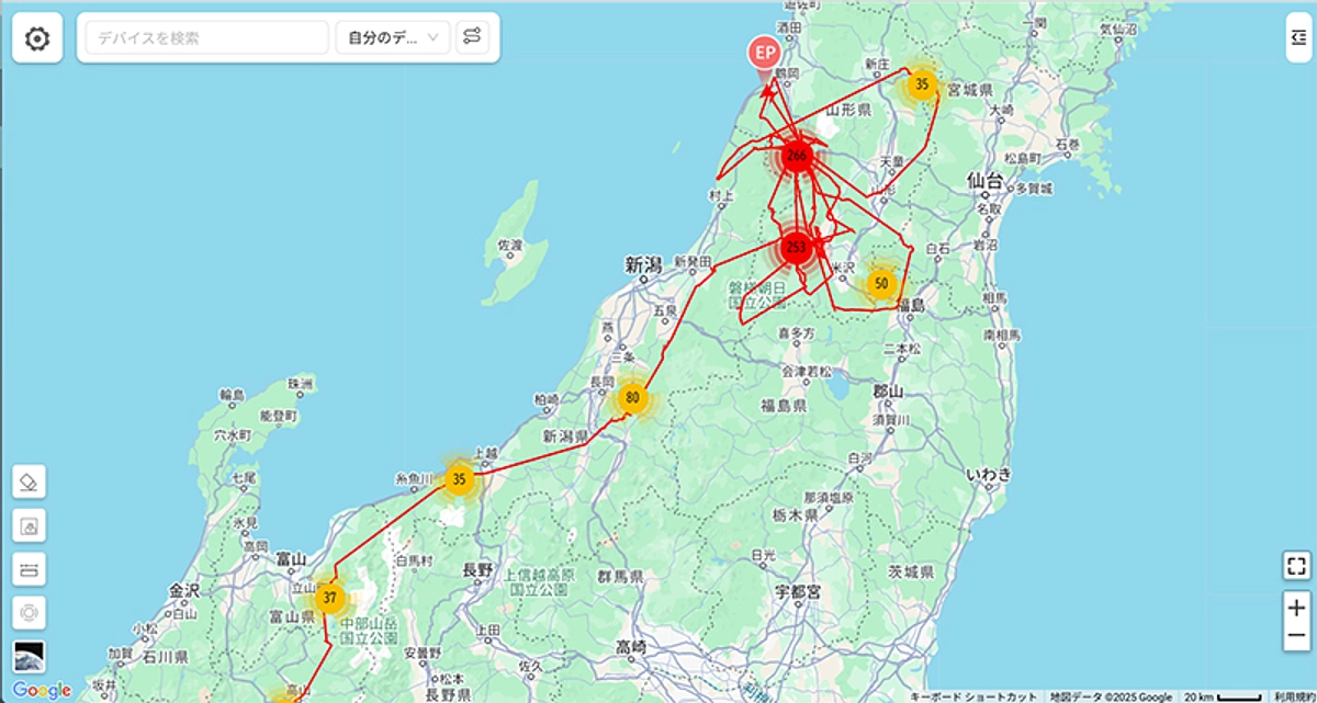 【速報】サシバの渡り報告　5月７日