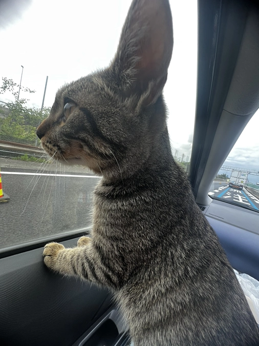 病院へ行ってきました