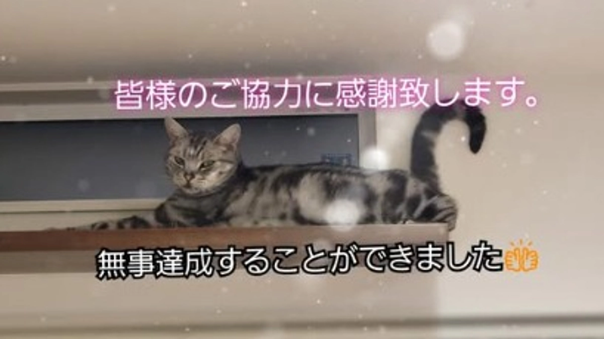 🎉無事達成することができました🎉