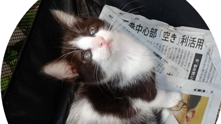 守り続けて…繋ぐ小さな命へご協力をお願いいたします