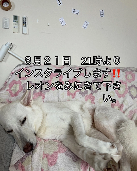 今日も頑張ります！！