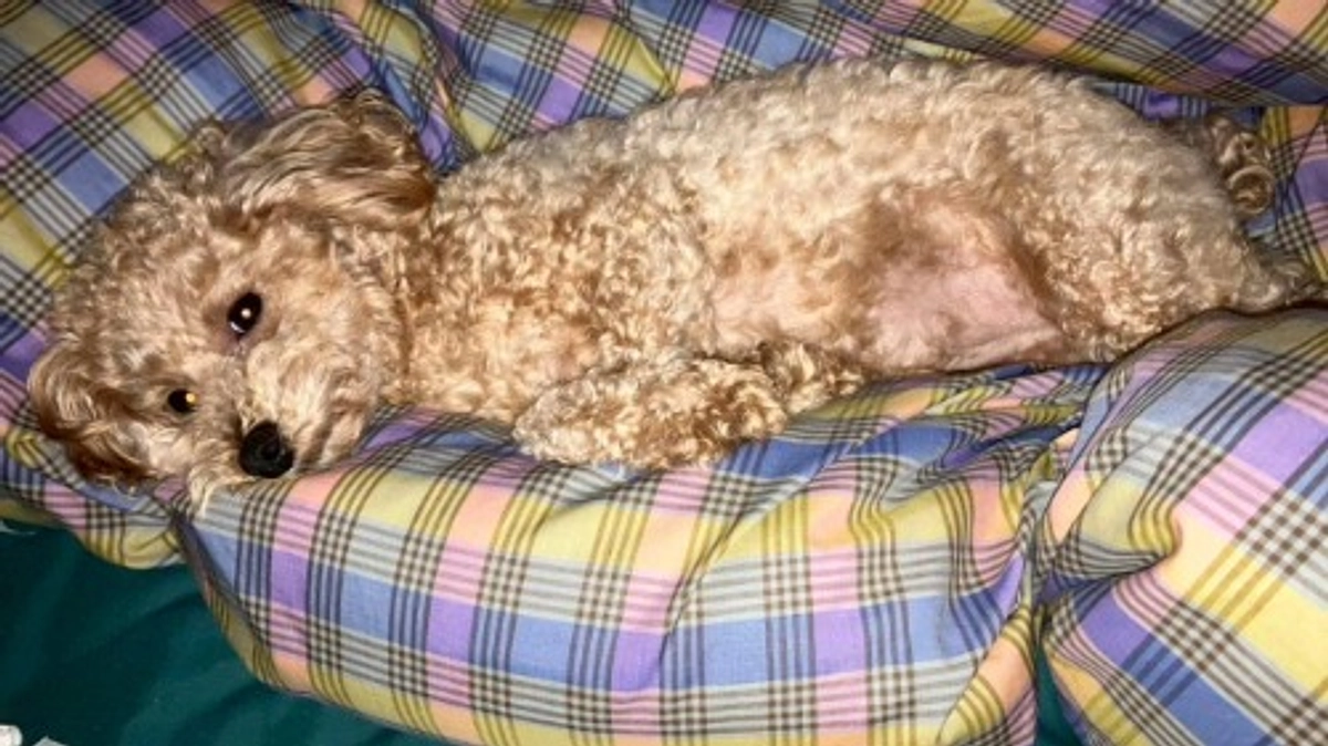 残り5時間を切りました！