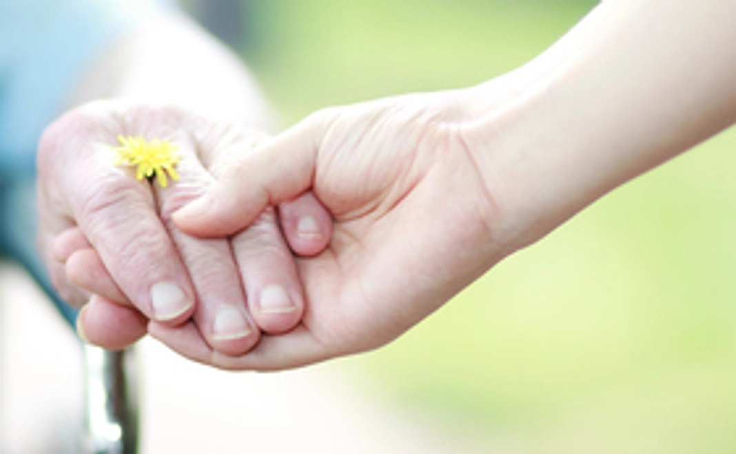 活動応援プラン