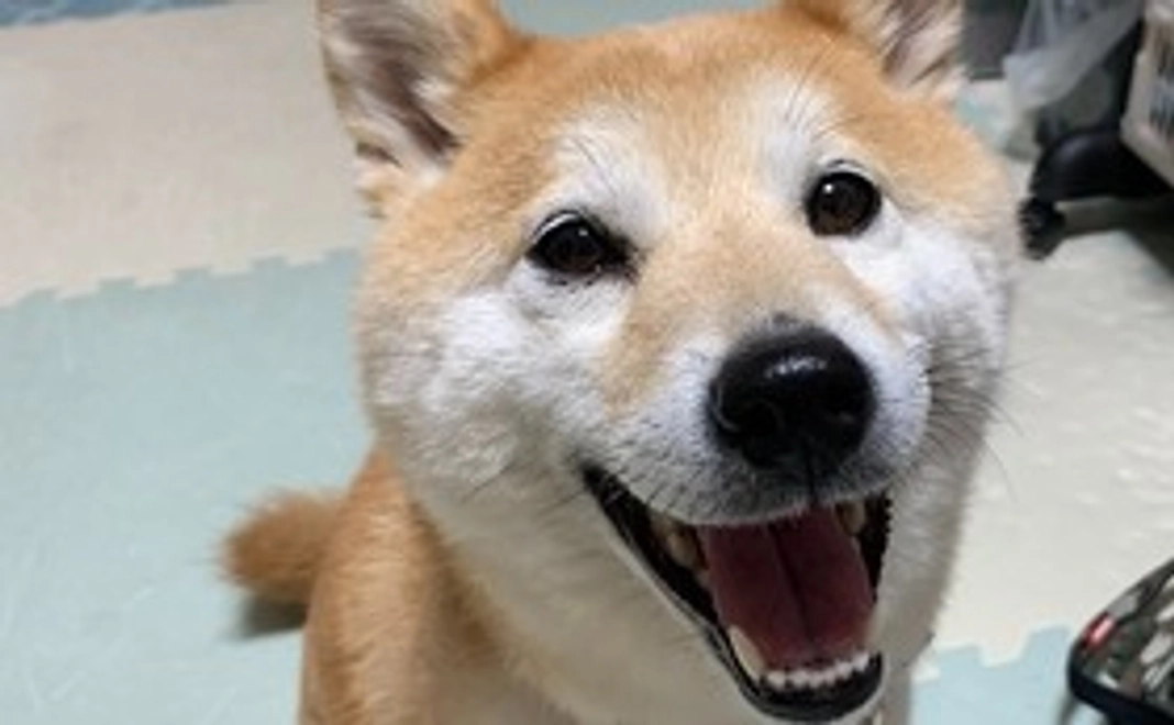 陽へ笑顔の応援(１)