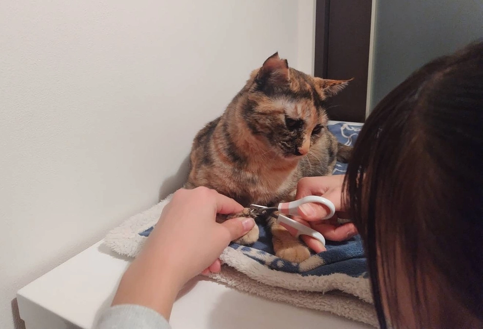 彼女の願い（信頼のボランティアさん）