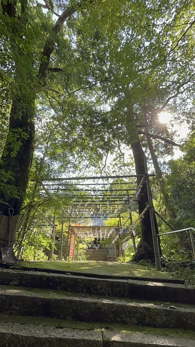 人生初✨クラウドファンディングスタート