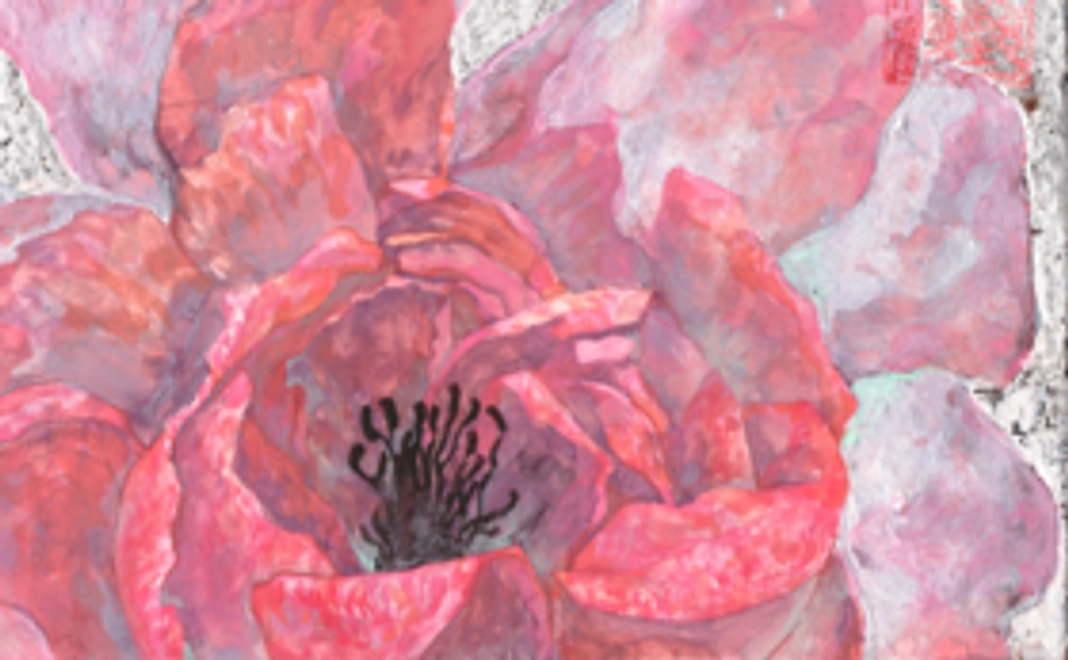 ポストカード３枚