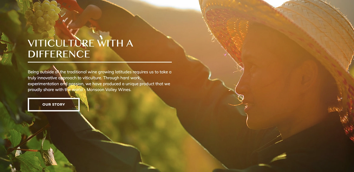 ＼リターンのご紹介・モンスーンバレーHUA HINヴィンヤード見学ご案内／　（2023/5/8）