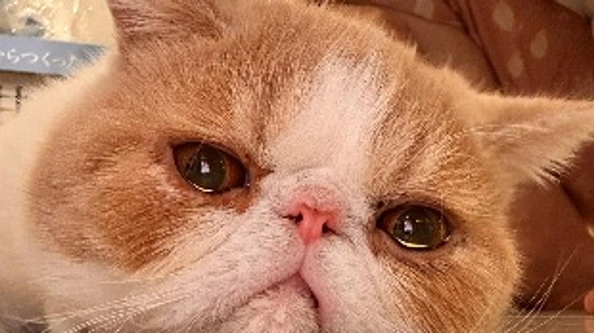 あと8時間です🙇🏻‍♀️‪‪目標達成まであと少し‼️