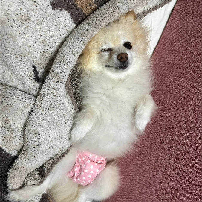 残り66時間！達成率35%！残り123万1500円必要な状況です！