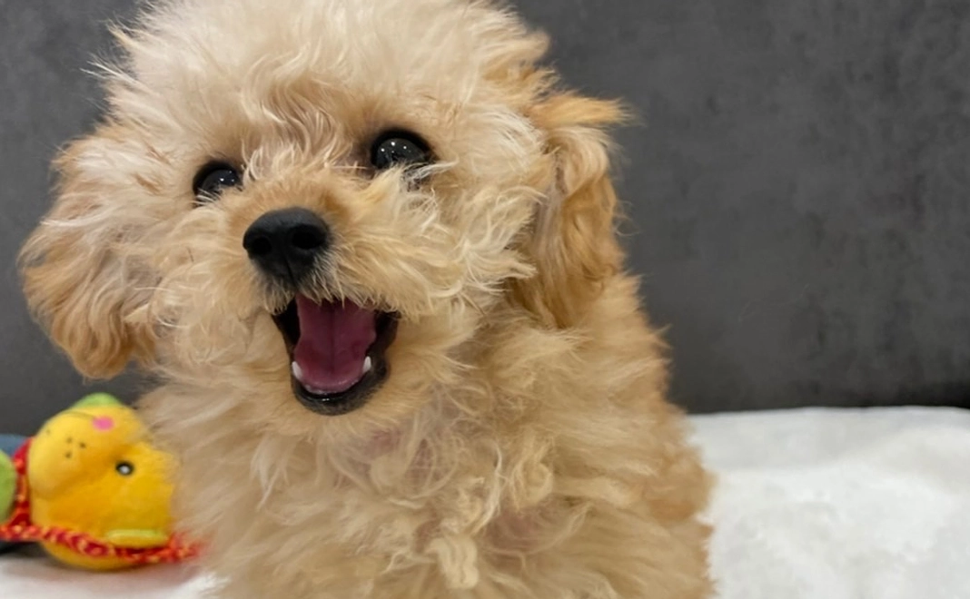 感謝のメールと経過報告をさせていただきます。2