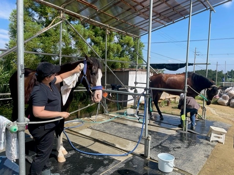 アヴニールファームを支えるボランティアの人達