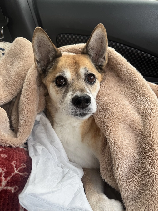 12/18 ☢️放射線治療13回目☢️