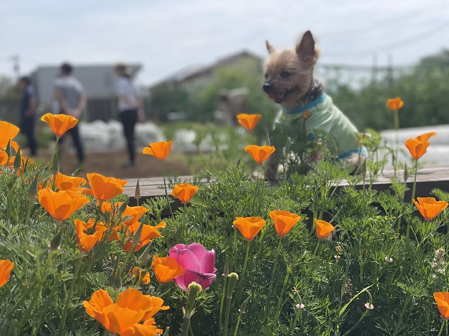 本日も沢山の方にお集まり頂き、ありがとうございました！次回は5/26（日）AMです！