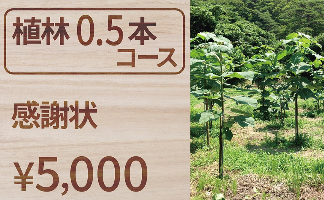 【植林0.5本コース】感謝状