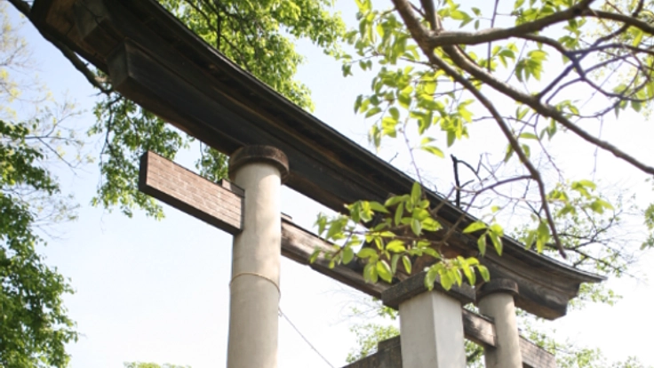 歴史を紡ぐ。伊達政宗の熱い想いが眠る梁川八幡大改修へ。