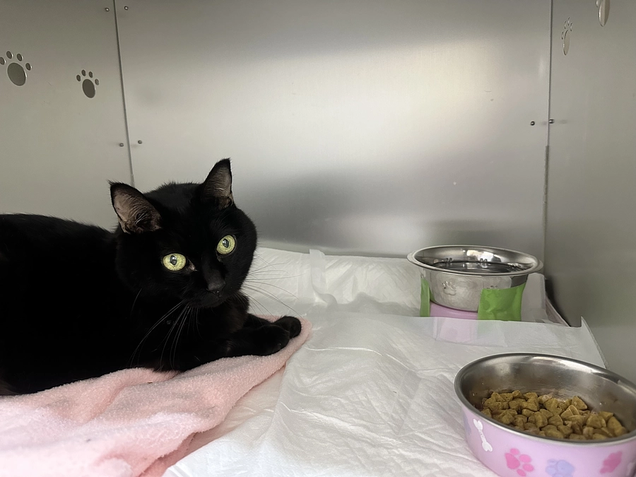 毎日面会に行っています！