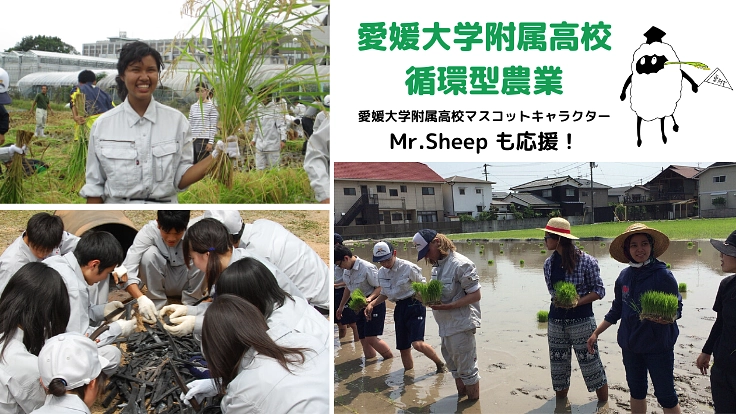 持続可能な未来へ。愛媛大学附属高校、循環型農業への挑戦！