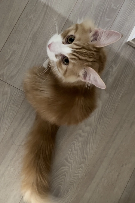 投薬75日目の様子