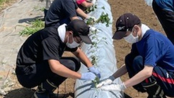 農福連携でハンディのある方の社会復帰支援の地域先駆事業を始めたい