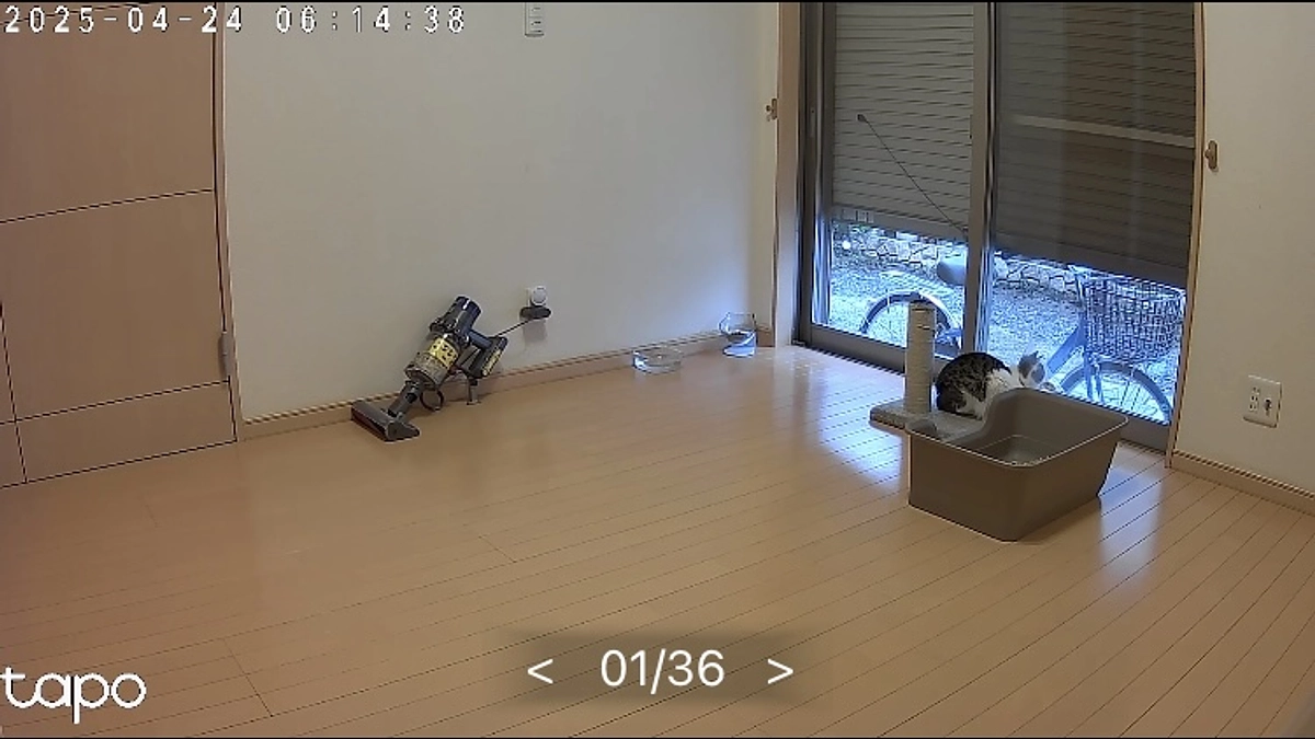 本日4/24抜糸です