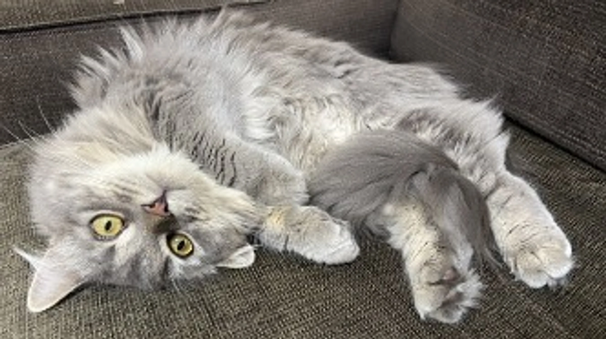 10/5 闘病生活３９日目　こどもたちの反応